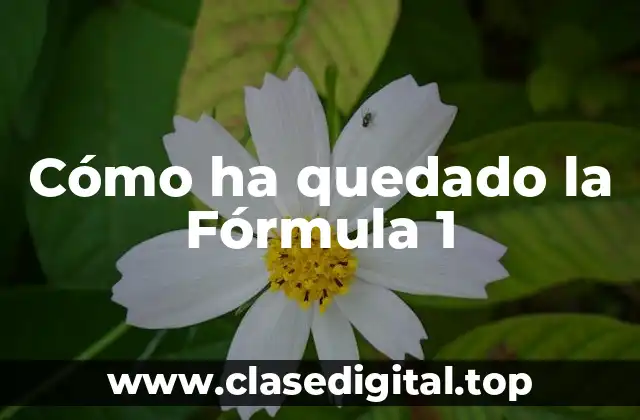 Cómo ha quedado la Fórmula 1
