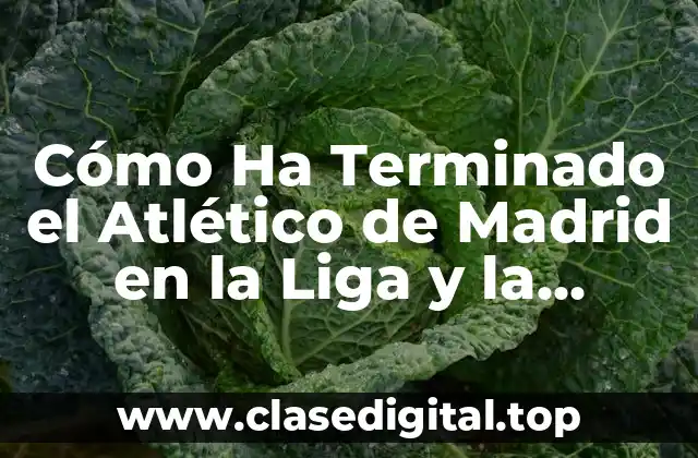 Cómo Ha Terminado el Atlético de Madrid en la Liga y la Champions League