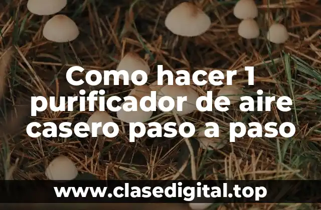 Como hacer 1 purificador de aire casero paso a paso
