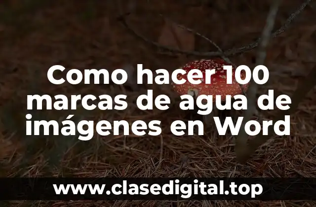 Agregar marcas de agua a imágenes en Word