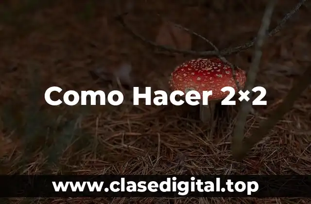 Como Hacer 2×2