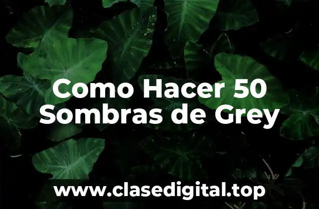 Como Hacer 50 Sombras de Grey