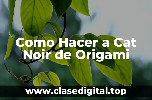 Como Hacer a Cat Noir de Origami