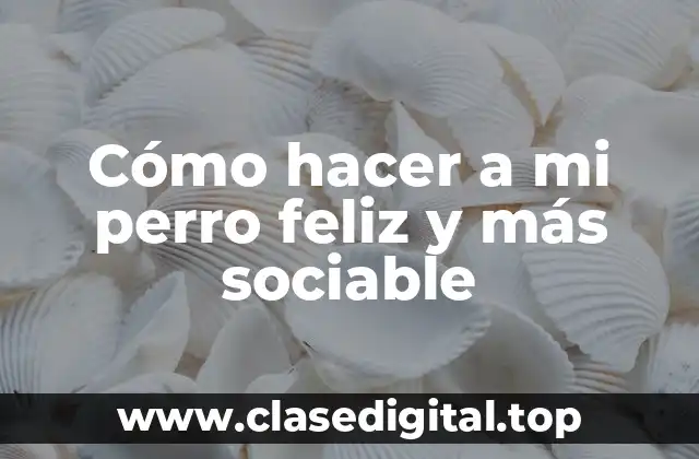 Cómo hacer a mi perro feliz y más sociable