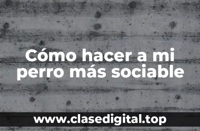 Cómo hacer a mi perro más sociable