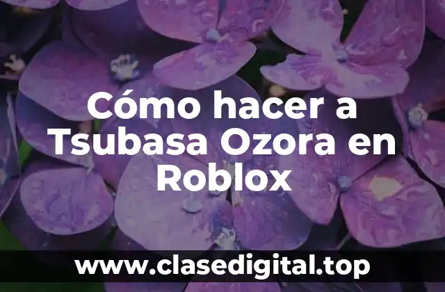 Cómo hacer a Tsubasa Ozora en Roblox