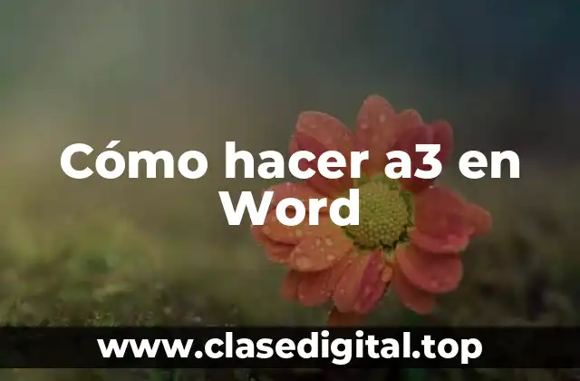 Cómo hacer a3 en Word