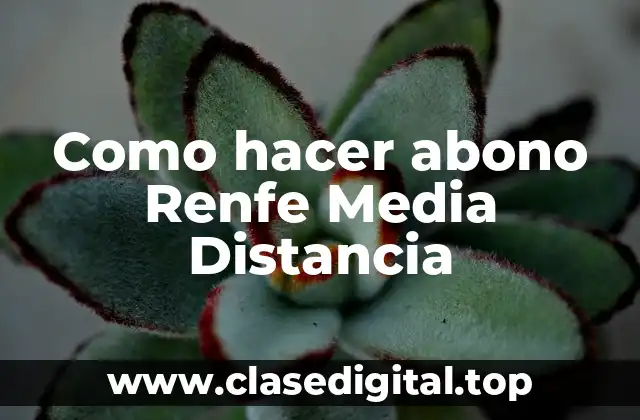 Como hacer abono Renfe Media Distancia