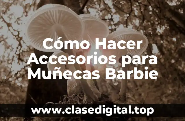¿Qué son los Accesorios para Muñecas Barbie?