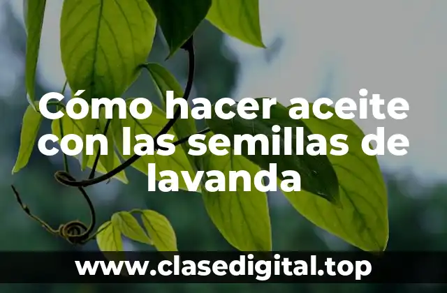 Cómo hacer aceite con las semillas de lavanda