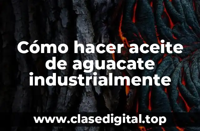 Cómo hacer aceite de aguacate industrialmente