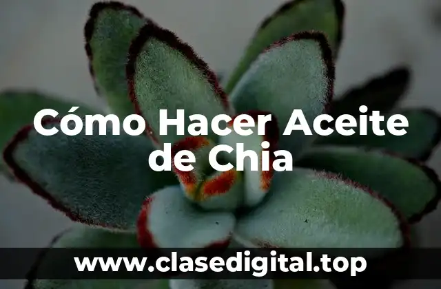 Cómo Hacer Aceite de Chia
