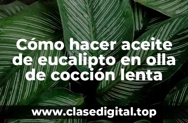 Cómo hacer aceite de eucalipto en olla de cocción lenta