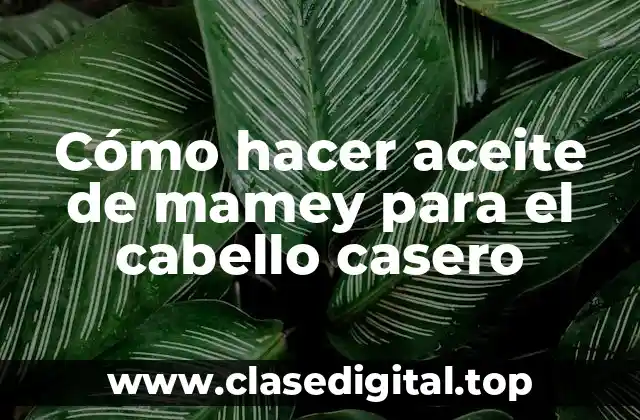 Cómo hacer aceite de mamey para el cabello casero