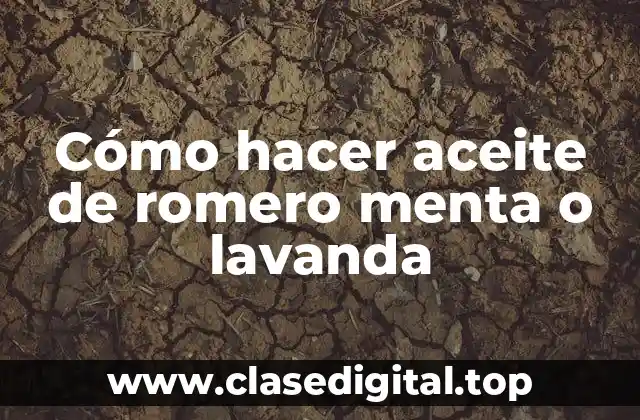 Cómo hacer aceite de romero menta o lavanda