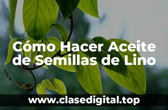 Cómo Hacer Aceite de Semillas de Lino