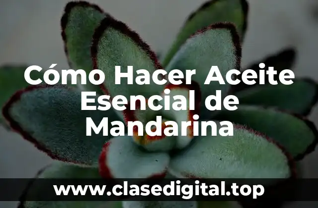 Cómo Hacer Aceite Esencial de Mandarina