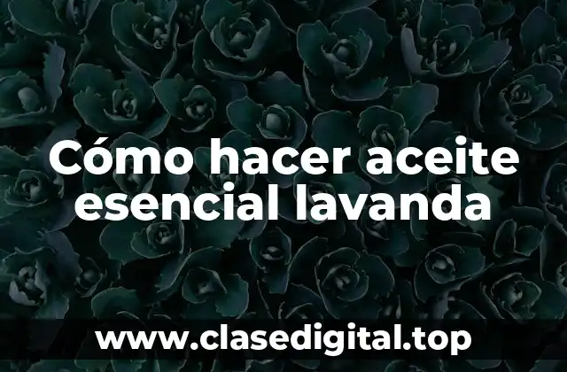 Cómo hacer aceite esencial lavanda