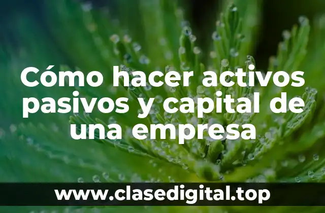 Cómo hacer activos pasivos y capital de una empresa