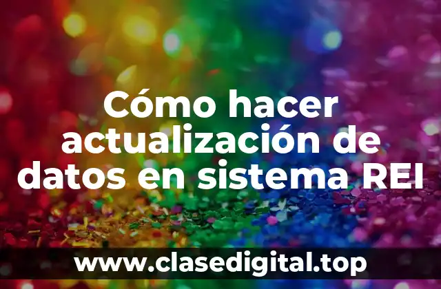 Cómo hacer actualización de datos en sistema REI