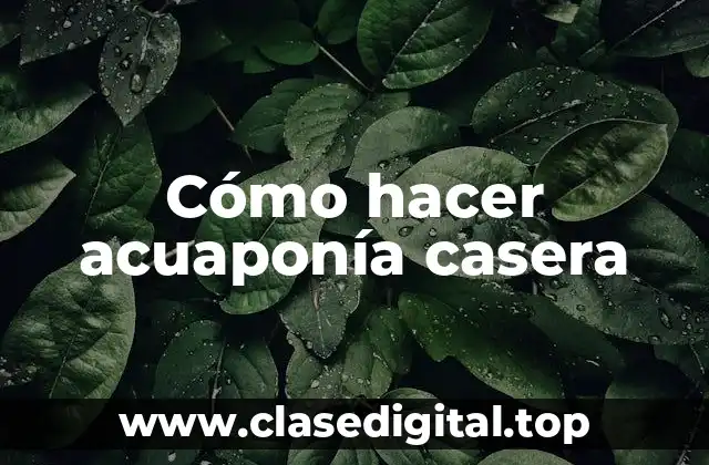 Cómo hacer acuaponía casera