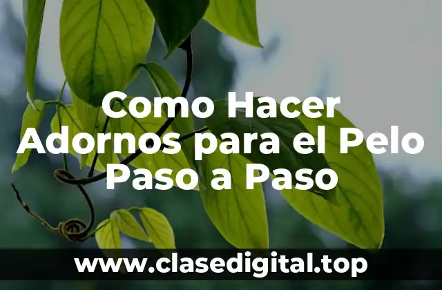 Adornos para el Pelo: ¿Qué son y para qué sirven?