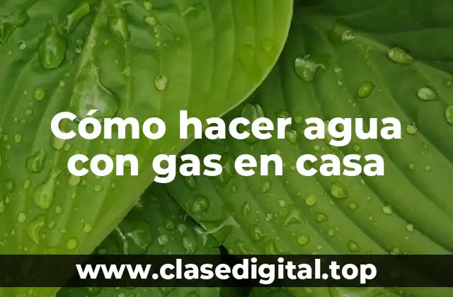 Cómo hacer agua con gas en casa