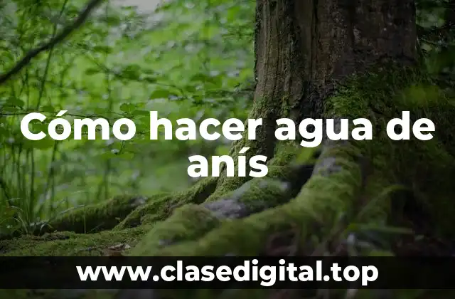 Cómo hacer agua de anís