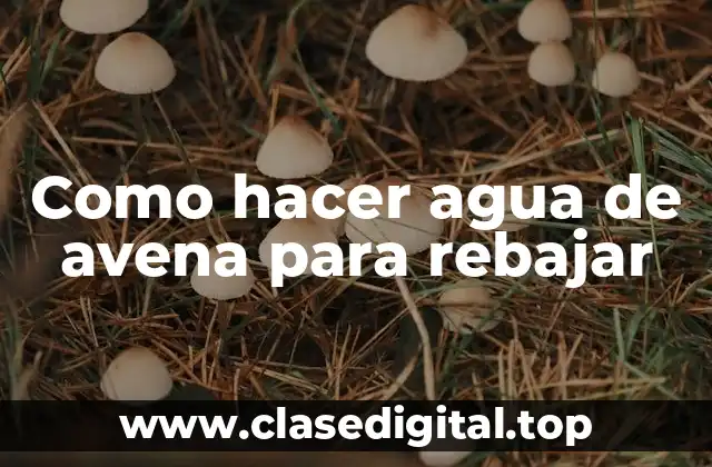 Como hacer agua de avena para rebajar