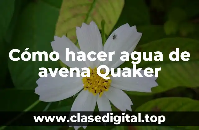 Cómo hacer agua de avena Quaker