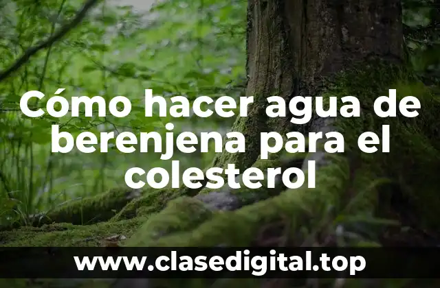 Cómo hacer agua de berenjena para el colesterol