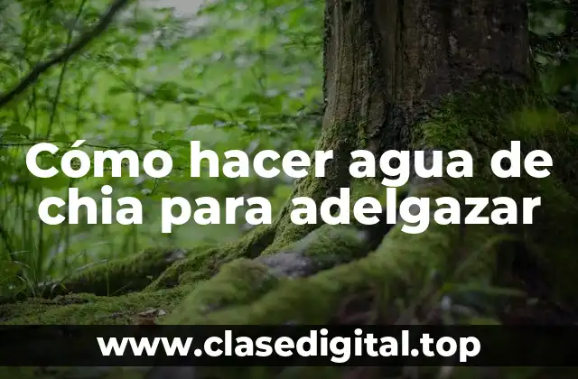 Cómo hacer agua de chia para adelgazar