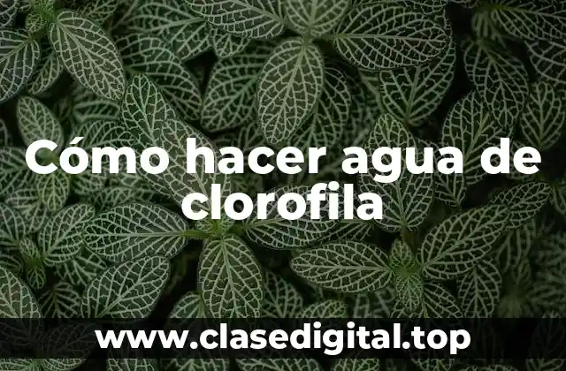 Cómo hacer agua de clorofila