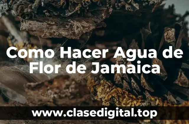 Como Hacer Agua de Flor de Jamaica