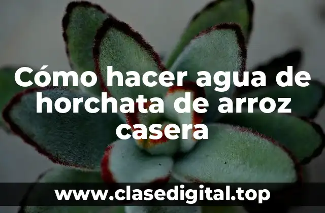 Cómo hacer agua de horchata de arroz casera