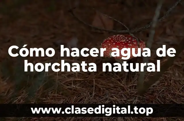 Cómo hacer agua de horchata natural