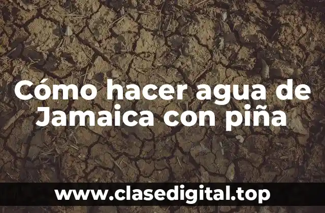 Cómo hacer agua de Jamaica con piña