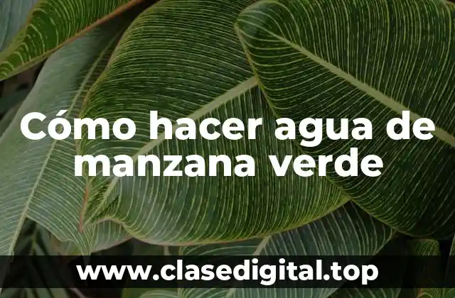 Cómo hacer agua de manzana verde