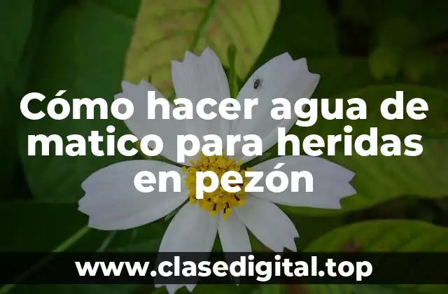 Cómo hacer agua de matico para heridas en pezón