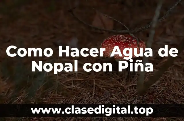Como Hacer Agua de Nopal con Piña