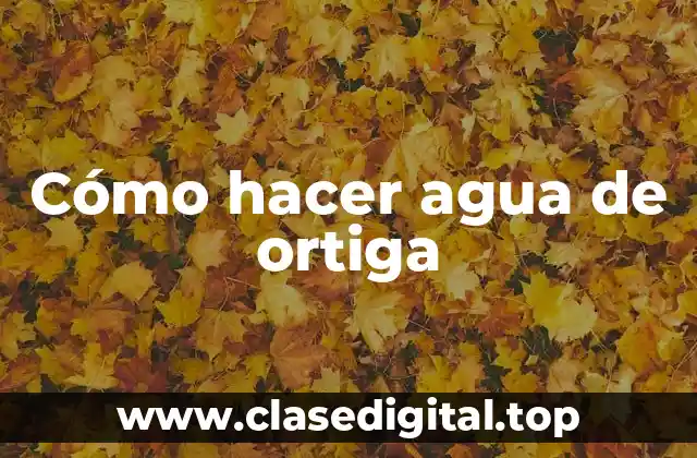 Cómo hacer agua de ortiga