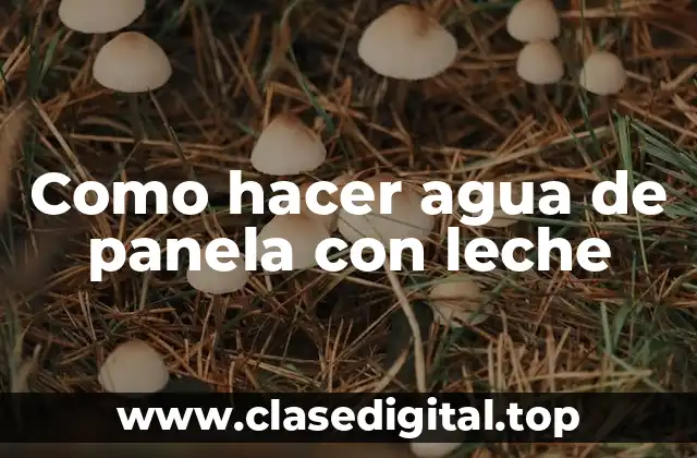 Como hacer agua de panela con leche