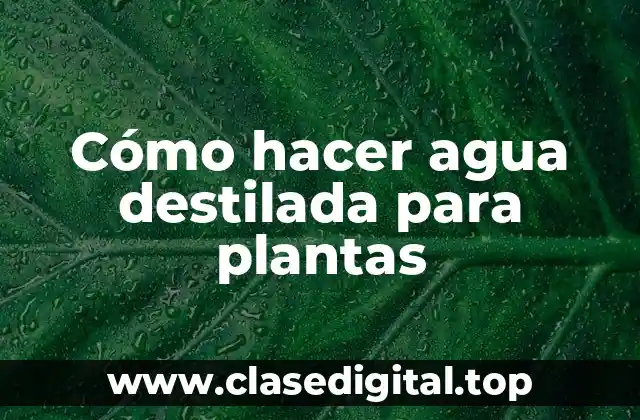Cómo hacer agua destilada para plantas