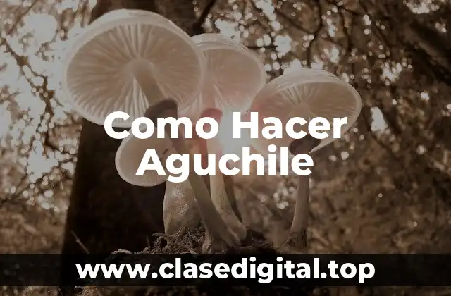 ¿Qué es el Aguchile?