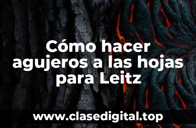 Cómo hacer agujeros a las hojas para Leitz