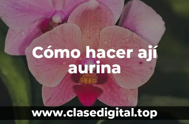 Cómo hacer ají aurina
