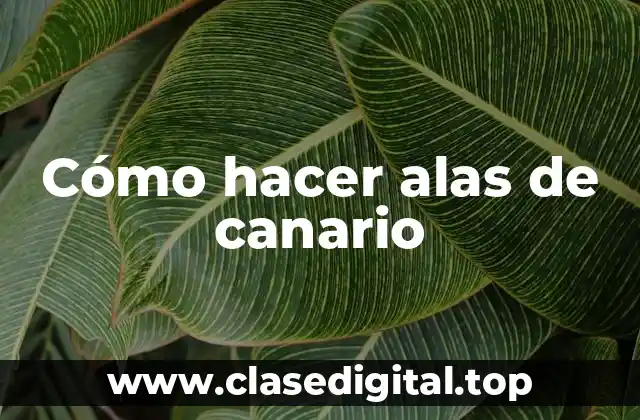 Cómo hacer alas de canario