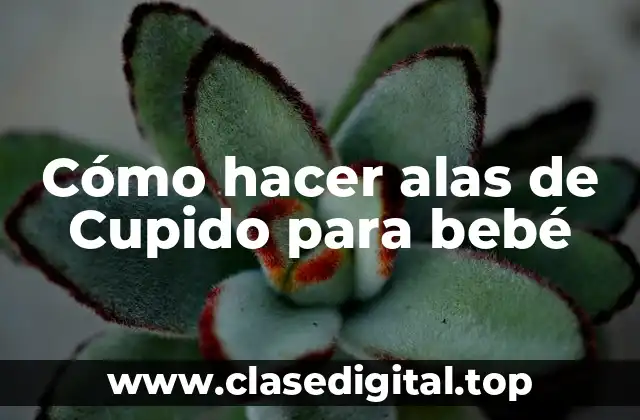 Cómo hacer alas de Cupido para bebé