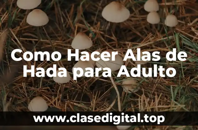 Alas de Hada para Adulto: ¿Qué son y para qué sirven?