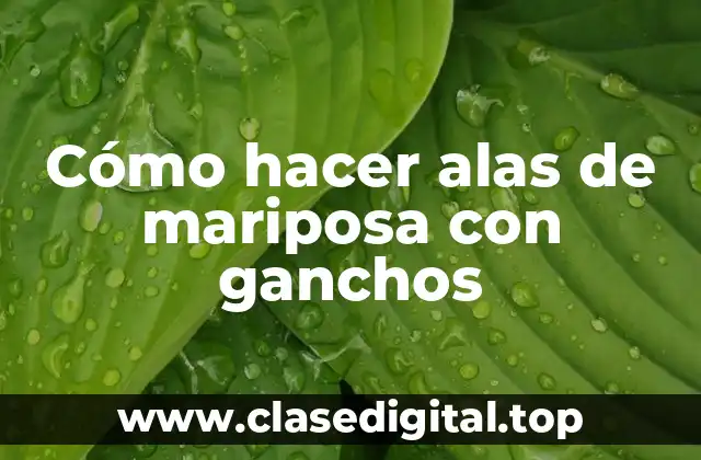 Cómo hacer alas de mariposa con ganchos